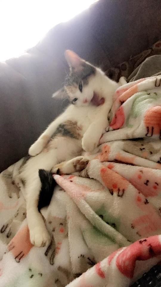 Relaxing!